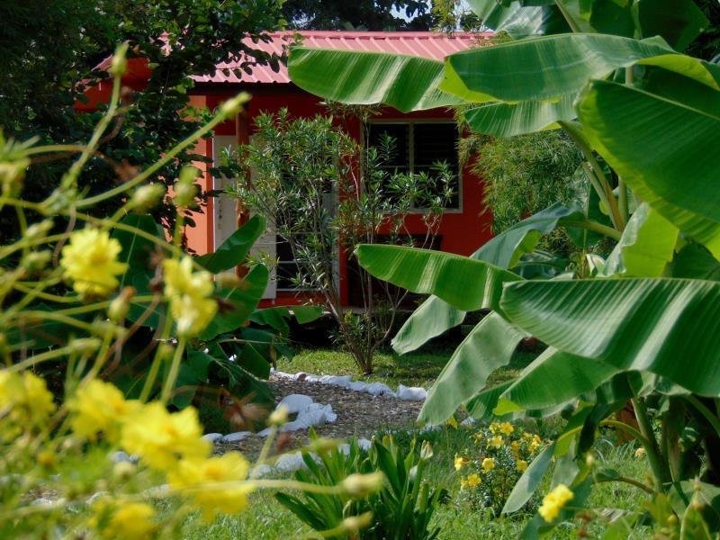 Bungalow partly screened by banana leaves and flowering plants at Siam Garden Bungalows